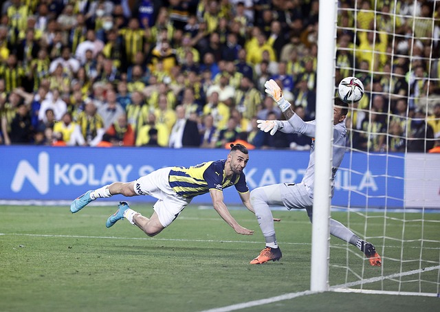 特福德之间 特福德之间