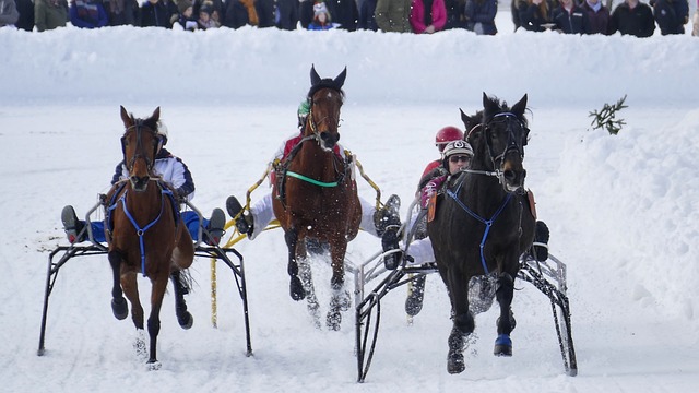 高光表现 高光表现