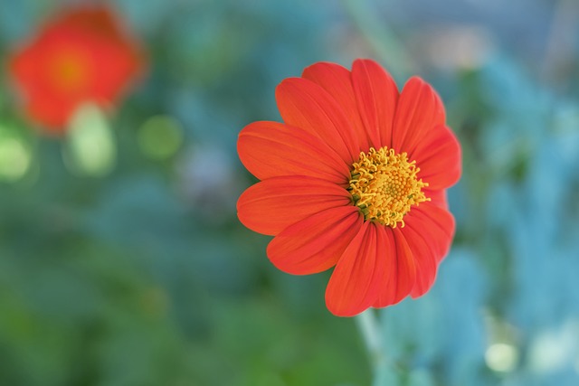 智慧与决心 智慧与决心