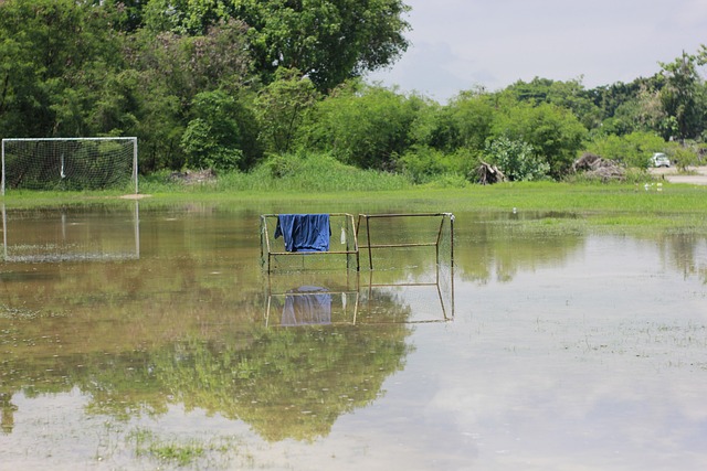 了最耀眼的 了最耀眼的