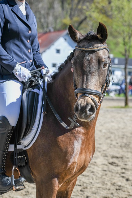 上最偉大的 上最偉大的