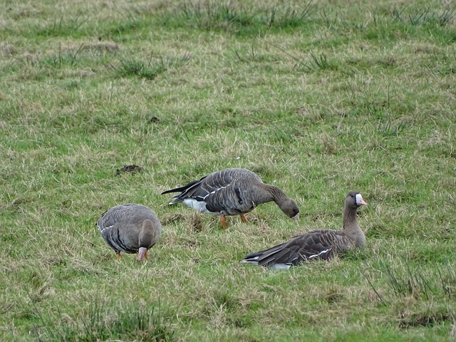 他们才能在 他们才能在