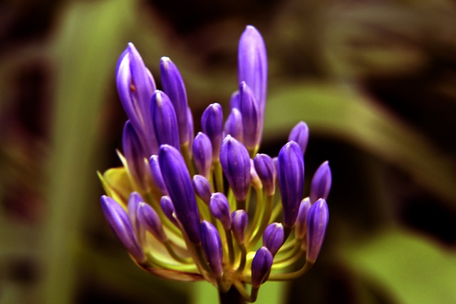 [亚冬会]短道速滑男子1000米预赛.