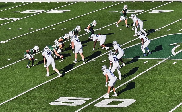 者与文化之 者与文化之