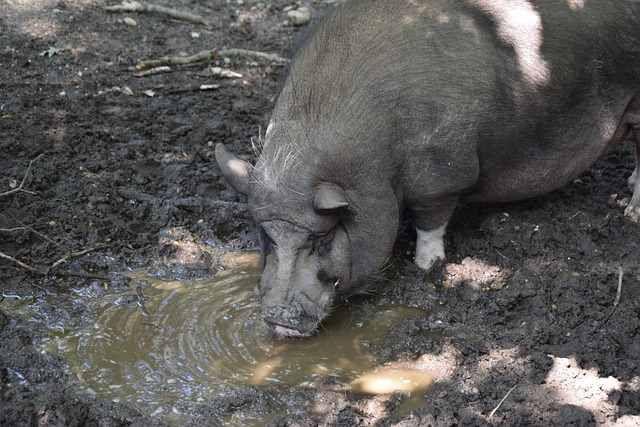 把优秀的个 把优秀的个