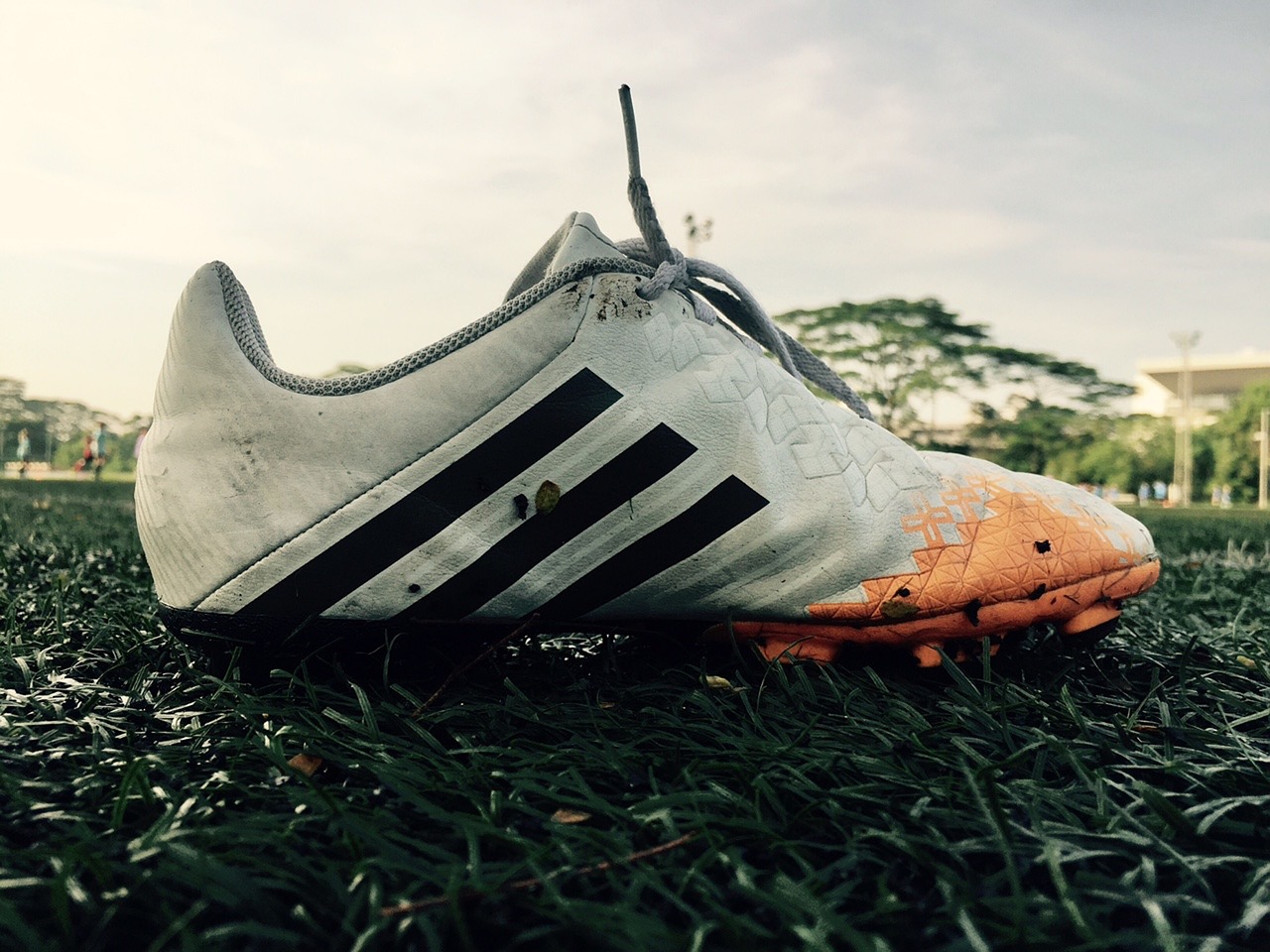 不仅是两支 不仅是两支